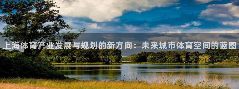 意昂体育4平台注册要钱吗：上海体育产业发展与规划的新