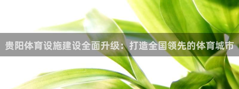 意昂4娱乐：贵阳体育设施建设全面升级：打造全国领先的