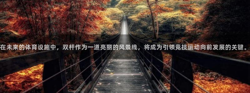 意昂4娱乐首页网站大全：在未来的体育设施中，双杆作为一道亮丽