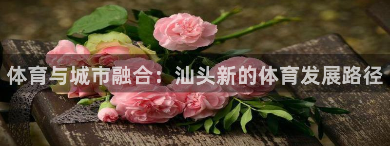 意昂体育4招商电话号码查询：体育与城市融合：汕头新的体育发展 