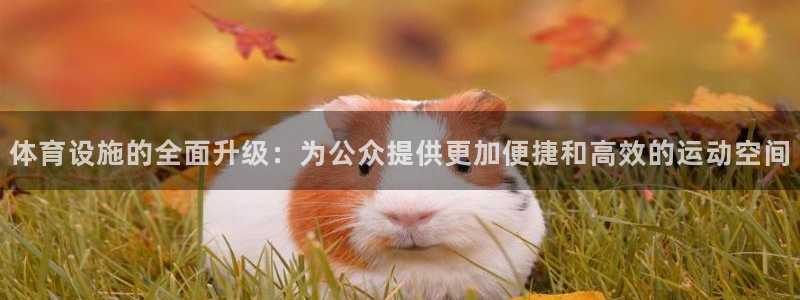 意昂体育4招商电话号码查询是多少：体育设施的全面升级：为公众