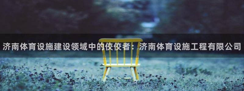 意昂集团官网：济南体育设施建设领域中的佼佼者：济南体育设施工
