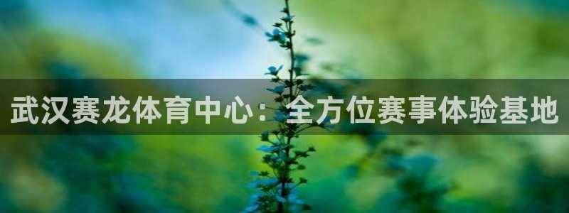 意昂体育4招商电话号码是多少