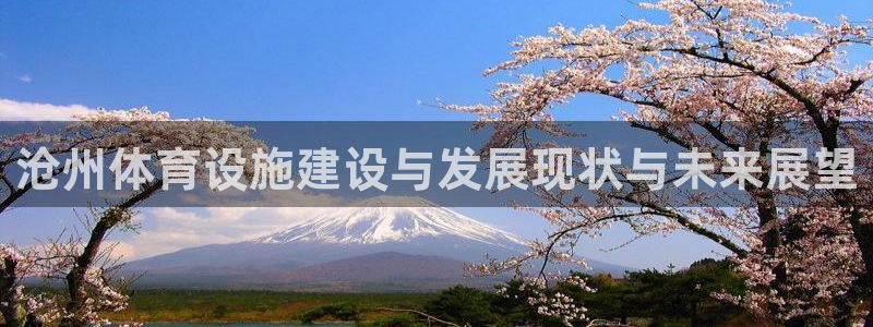意昂4新能源：沧州体育设施建设与发展现状与未来展望