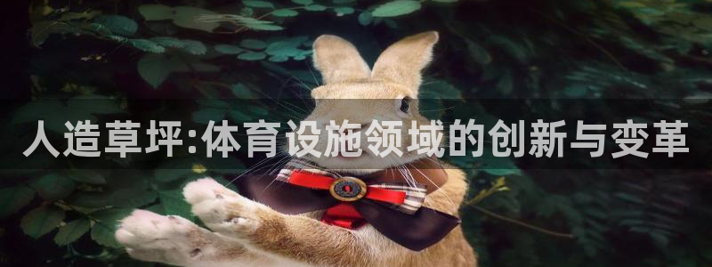 意昂4神州：人造草坪:体育设施领域的创新与变革