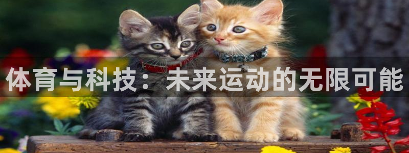 意昂体育4平台是正规平台吗知乎：体育与科技：未来运动