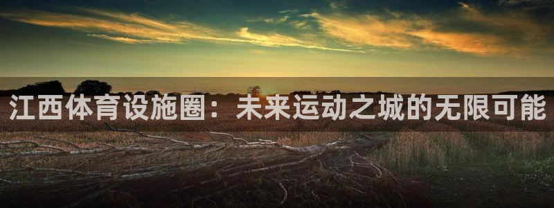 意昂体育4：江西体育设施圈：未来运动之城的无限可能 
