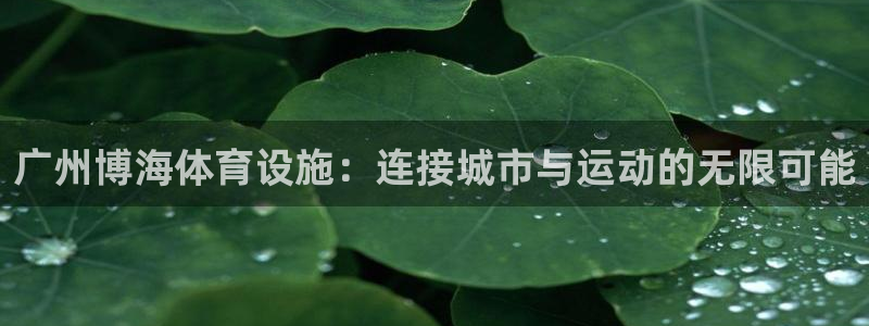 意昂4集团：广州博海体育设施：连接城市与运动的无限可