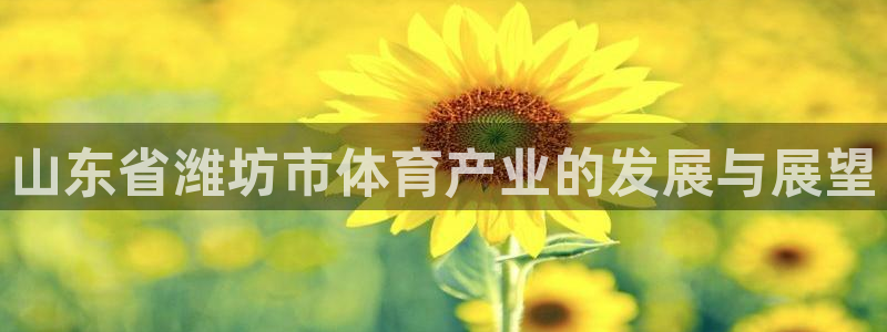 意昂体育4招商电话地址：山东省潍坊市体育产业的发展与展望