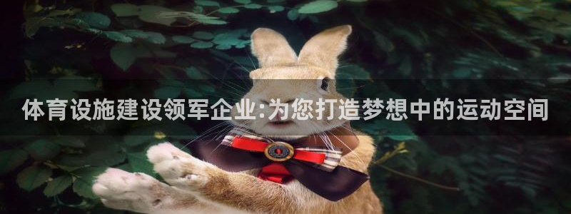 意昂体育4娱乐：体育设施建设领军企业:为您打造梦想中