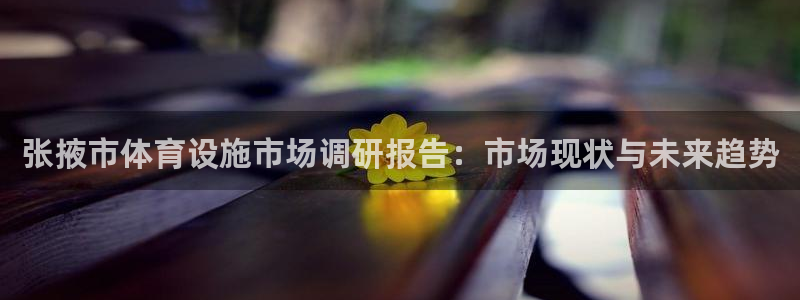 德国意昂4集团