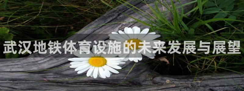 意昂4集团官网网址：武汉地铁体育设施的未来发展与展望