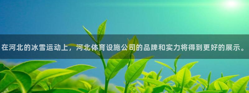 意昂4娱乐代理怎么样：在河北的冰雪运动上，河北体育设