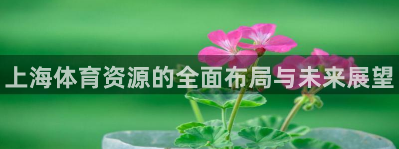 意昂4代理