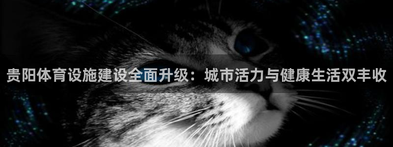 意昂体育4招商电话号码查询