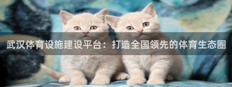 意昂体育4平台