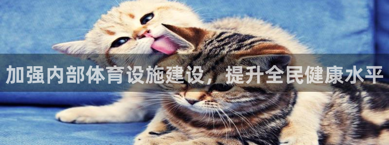 意昂体育4官方客服电话：加强内部体育设施建设，提升全民健康水