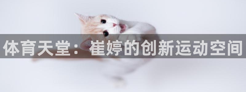 意昂体育4联系电话