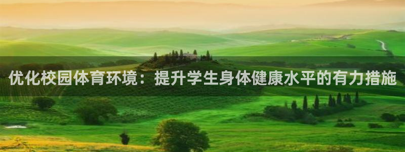 意昂4新能源
