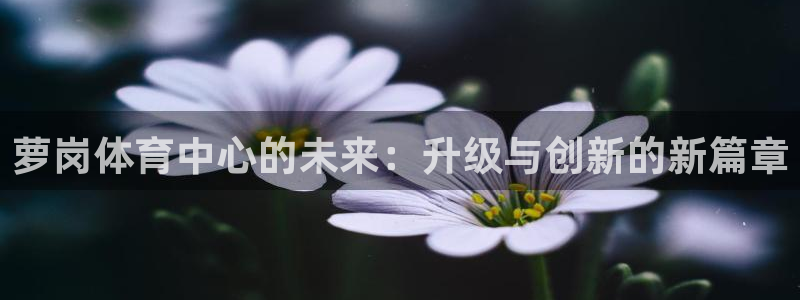 意昂体育4平台APP：萝岗体育中心的未来：升级与创新