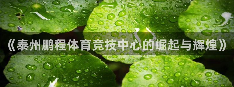 意昂4娱乐：《泰州鹏程体育竞技中心的崛起与辉煌》