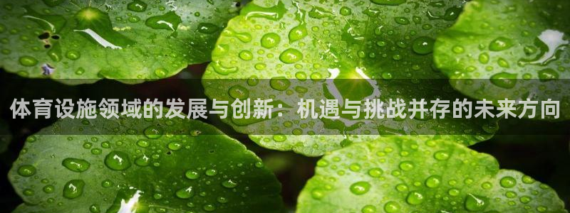 海南意昂体育4：体育设施领域的发展与创新：机遇与挑战并存的未