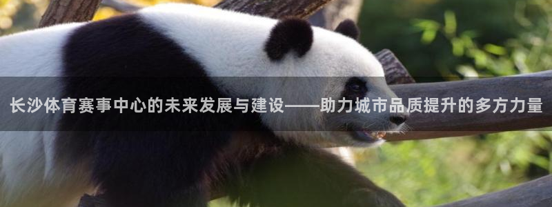 意昂体育4招商电话：长沙体育赛事中心的未来发展与建设——助力