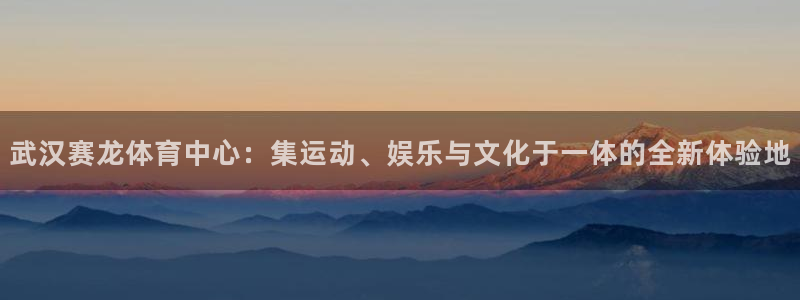 意昂体育4平台假的吗是真的吗：武汉赛龙体育中心：集运动、娱乐