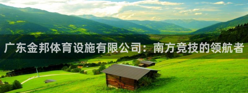 意昂体育4平台注册流程图：广东金邦体育设施有限公司：南方竞技 
