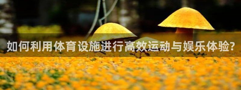 意昂4科技：如何利用体育设施进行高效运动与娱乐体验?