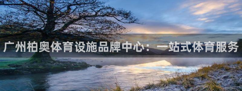 意昂体育4平台：广州柏奥体育设施品牌中心：一站式体育服务