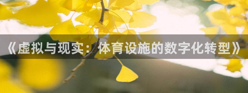 意昂4集团：《虚拟与现实：体育设施的数字化转型》 
