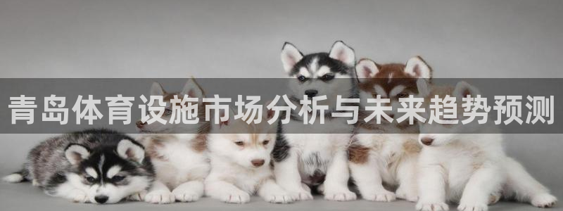 意昂体育4平台假的吗是真的吗：青岛体育设施市场分析与