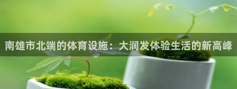 意昂体育4是干嘛的公司：南雄市北端的体育设施：大润发体验生活
