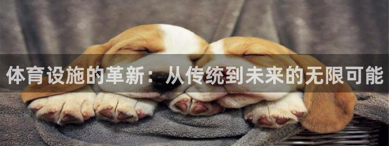 意昂体育4开户：体育设施的革新：从传统到未来的无限可能