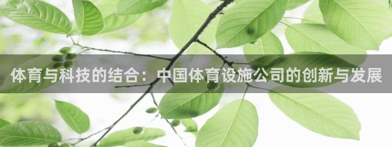 海南意昂体育4发展怎么样：体育与科技的结合：中国体育