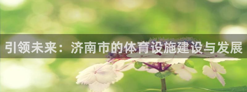 意昂体育4娱乐：引领未来：济南市的体育设施建设与发展