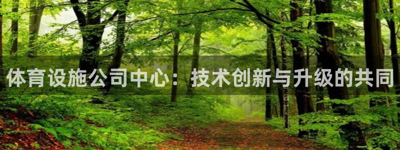 意昂体育4平台注册流程图：体育设施公司中心：技术创新