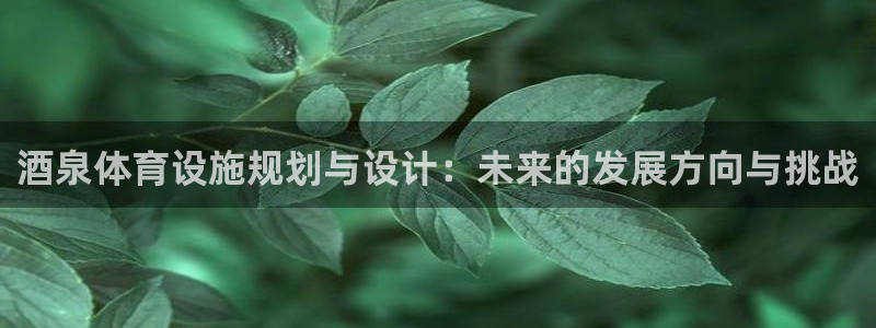 意昂体育4官方客服电话：酒泉体育设施规划与设计：未来的发展方