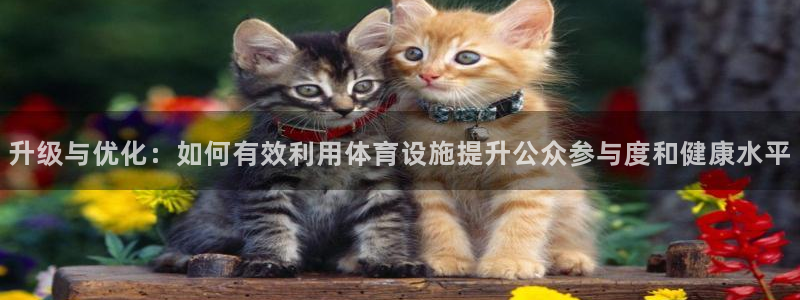 意昂体育4招商电话号码是多少号：升级与优化：如何有效