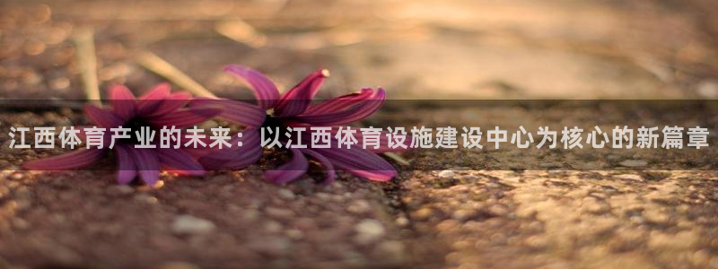 意昂体育4招商电话：江西体育产业的未来：以江西体育设施建设中 