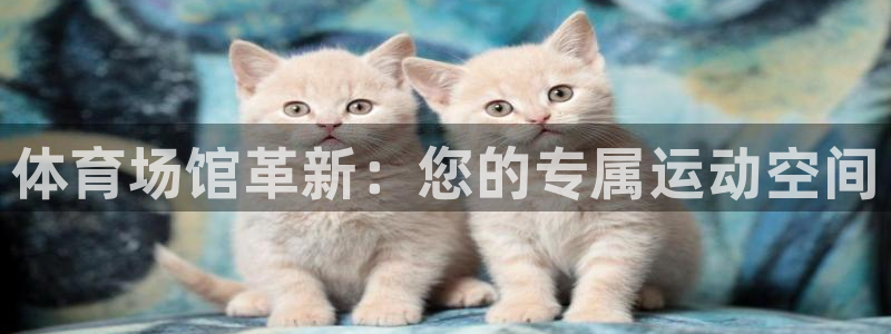意昂4娱乐下载：体育场馆革新：您的专属运动空间