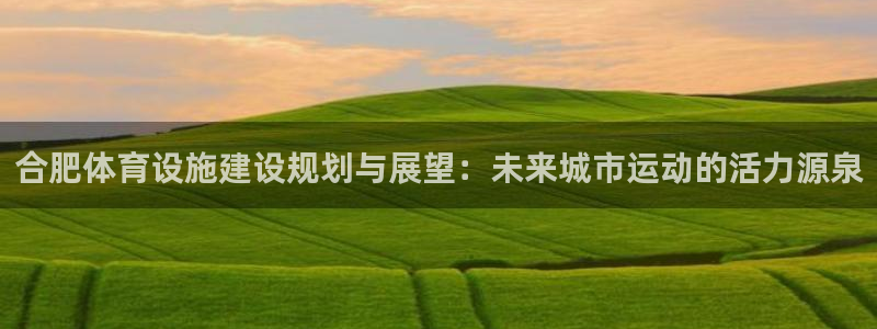 意昂体育4招商：合肥体育设施建设规划与展望：未来城市