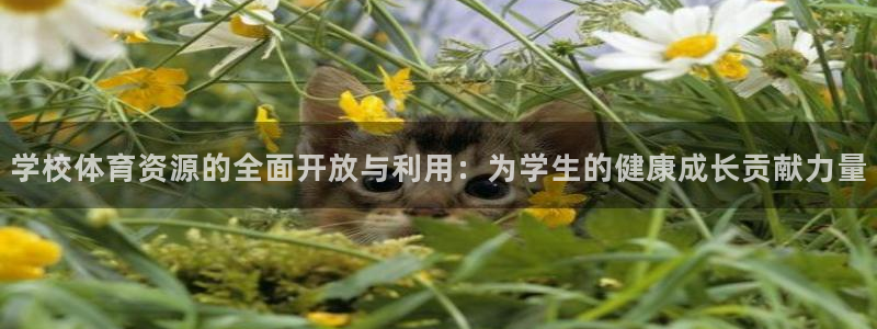 意昂4娱乐代理怎么样：学校体育资源的全面开放与利用：