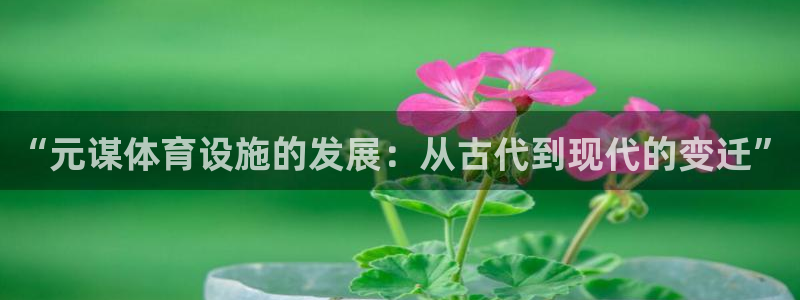 意昂体育4官方客服电话：“元谋体育设施的发展：从古代