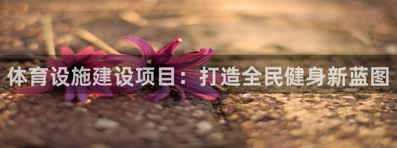 意昂4集团：体育设施建设项目：打造全民健身新蓝图