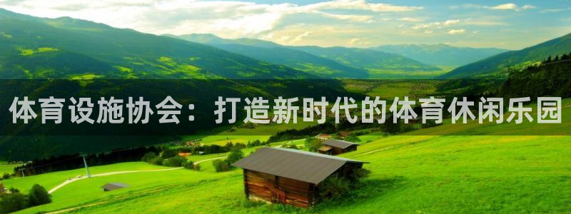 意昂体育4平台APP：体育设施协会：打造新时代的体育休闲乐园