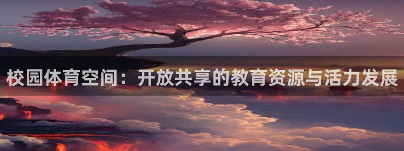 意昂平台体育：校园体育空间：开放共享的教育资源与活力