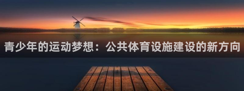 意昂4官方：青少年的运动梦想：公共体育设施建设的新方