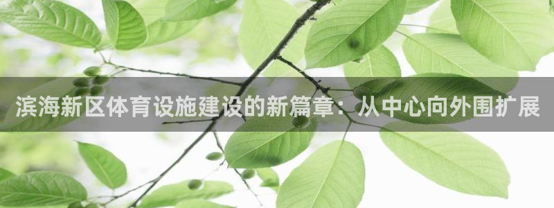 意昂体育4官方客服电话